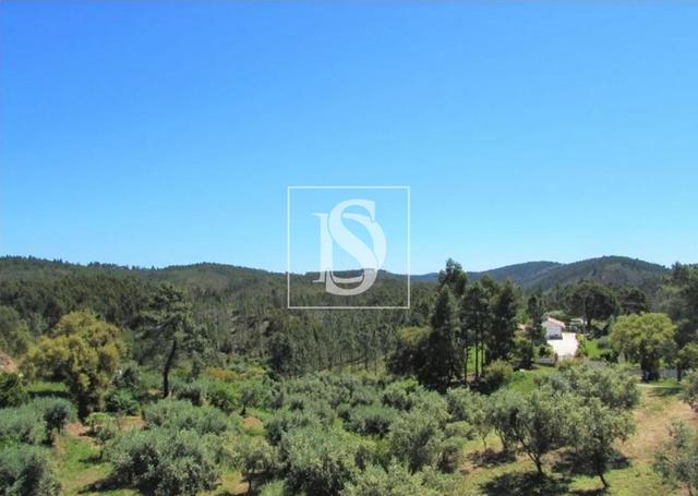 Moradia T4 em Sardoal