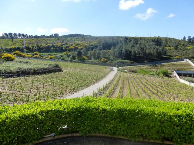 Quinta em Vila Real