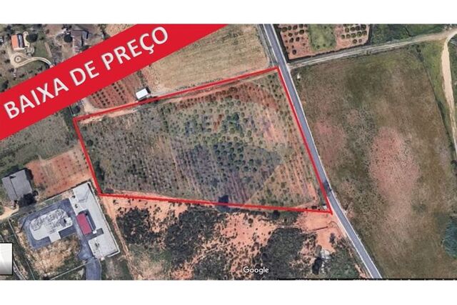 Terreno em Palmela