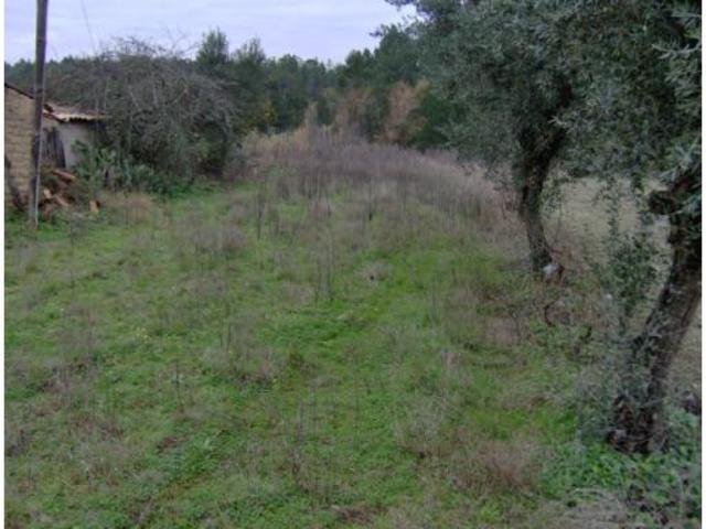 Terreno em Leiria