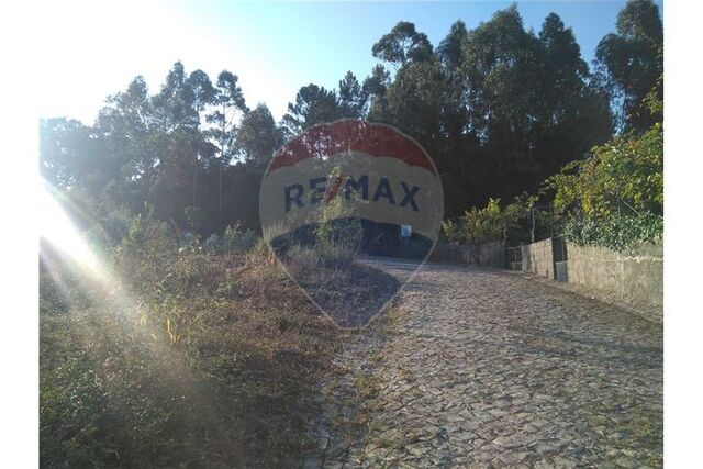 Terreno em Ansião