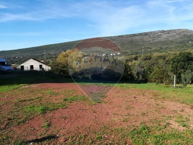 Terreno em Alvaiázere