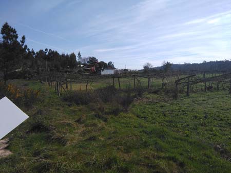 Terreno em Penafiel