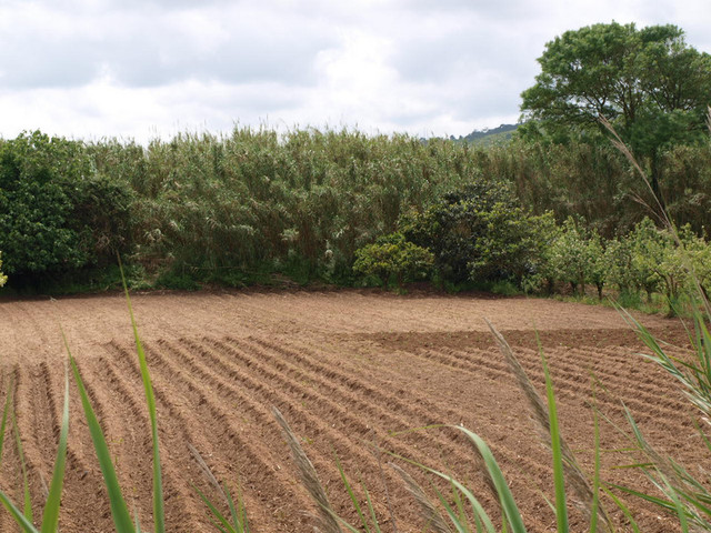Terreno em Óbidos