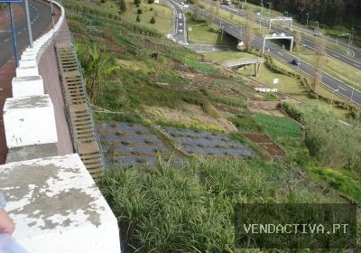 Terreno em Câmara de Lobos
