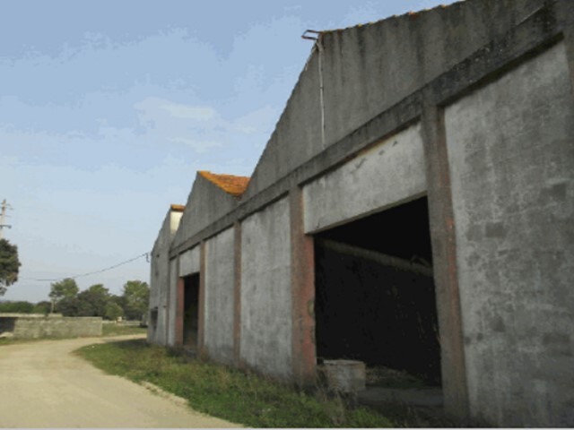 Armazém T0 em Ourém