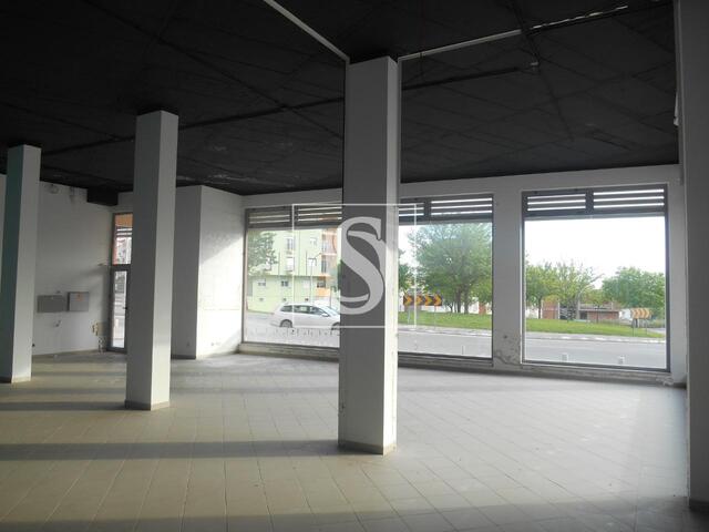 Loja em Castelo Branco