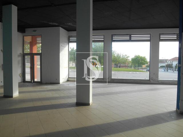 Loja em Castelo Branco