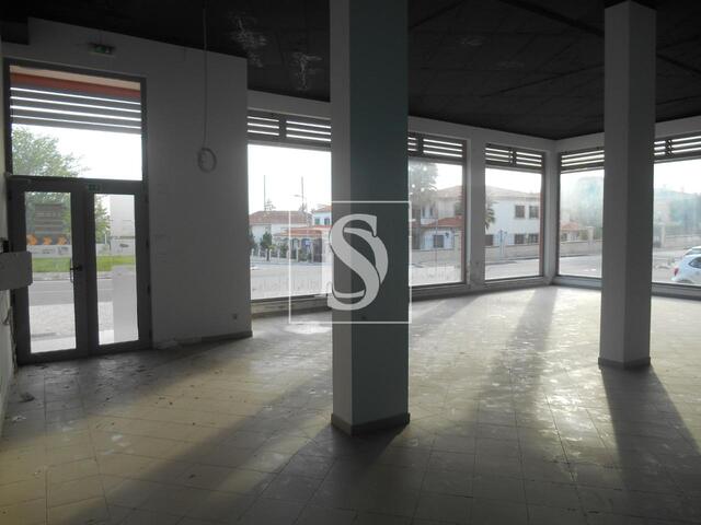 Loja em Castelo Branco