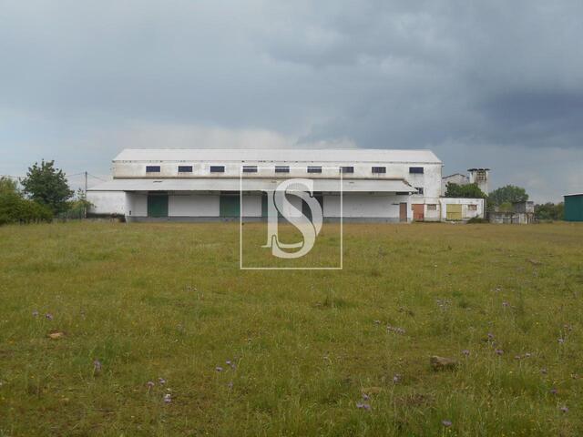 Armaz�m T0 em Idanha-a-Nova