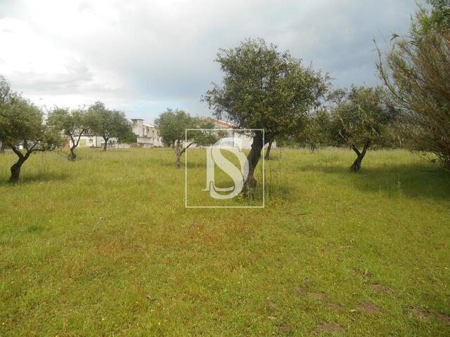 Armaz�m T0 em Idanha-a-Nova