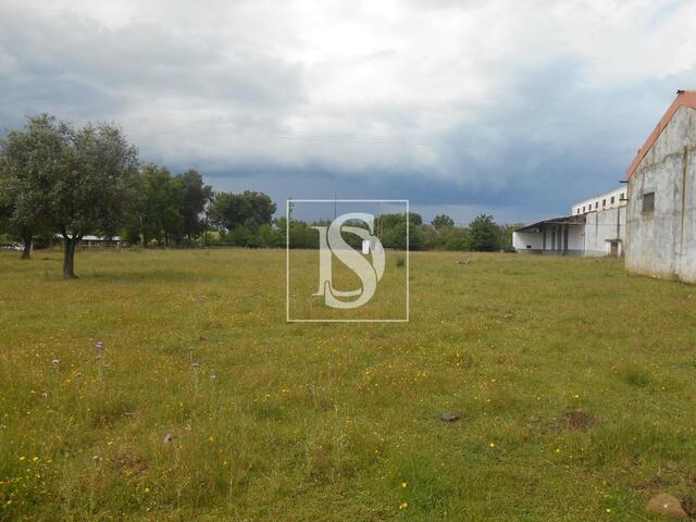 Armaz�m T0 em Idanha-a-Nova