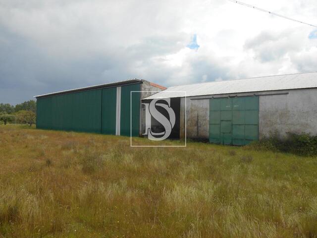 Armaz�m T0 em Idanha-a-Nova