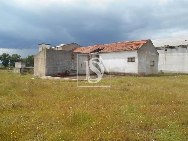 Armaz�m T0 em Idanha-a-Nova