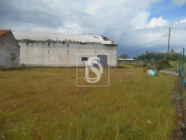 Armaz�m T0 em Idanha-a-Nova