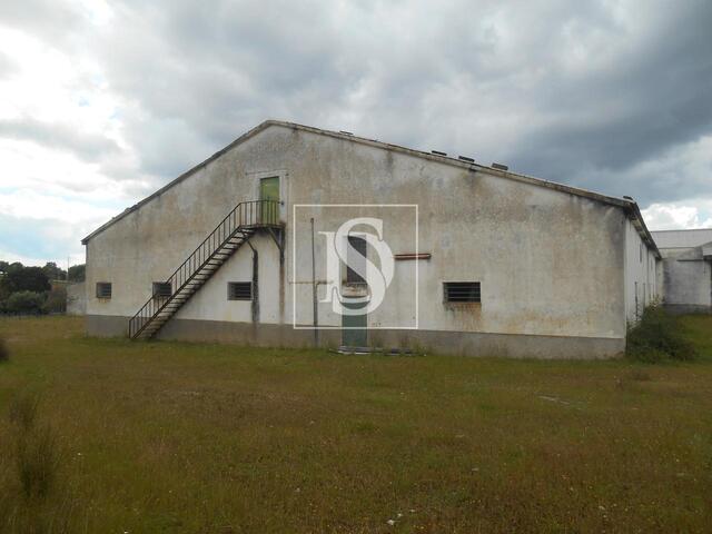 Armaz�m T0 em Idanha-a-Nova