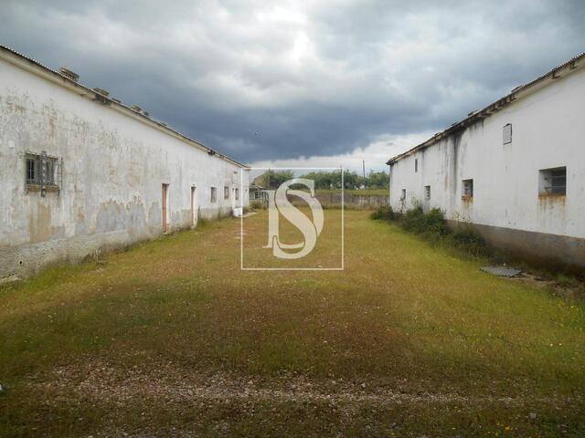 Armaz�m T0 em Idanha-a-Nova