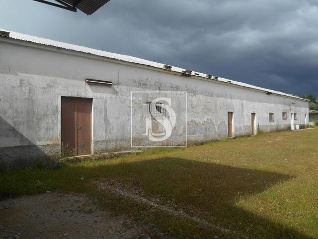 Armaz�m T0 em Idanha-a-Nova