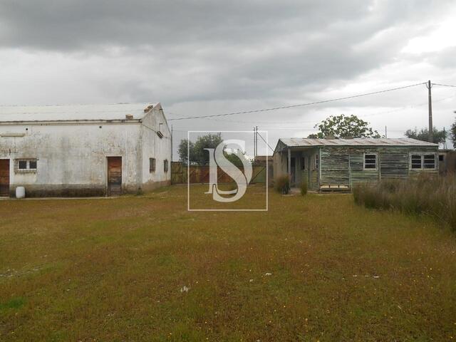 Armaz�m T0 em Idanha-a-Nova