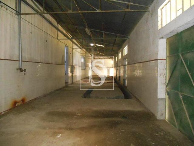 Armaz�m T0 em Idanha-a-Nova