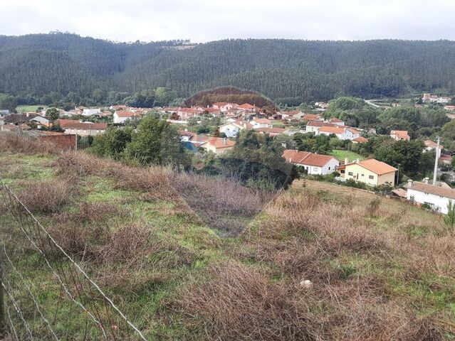 Terreno em Albergaria-a-Velha