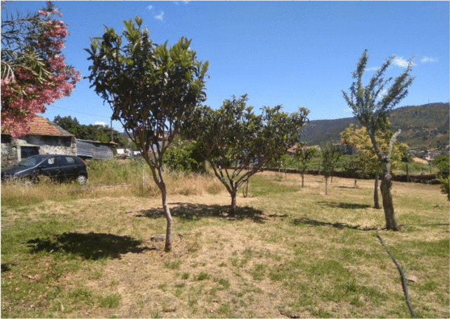 Quinta em Gondomar