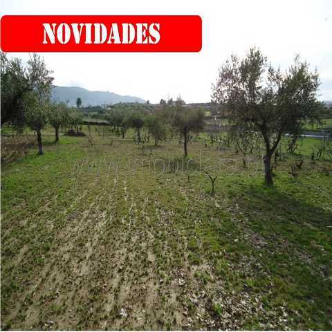 Quinta em Fundão