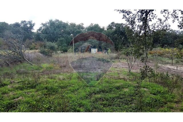 Terreno em Grândola
