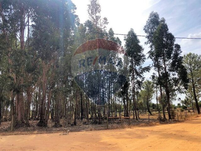 Terreno em Santiago do Cacém